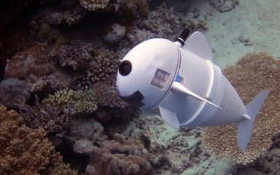Cá robot 3D có thể là" giám sát viên" dưới nước trong tương lai