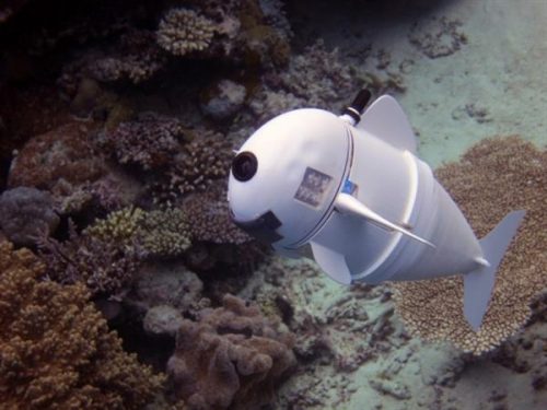 Cá robot 3D có thể là" giám sát viên" dưới nước trong tương lai