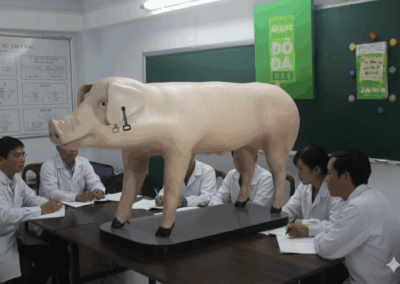 Mô hình heo giống Duroc – Việt Thái Genetics